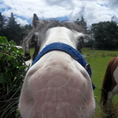 아파트 Ethan House