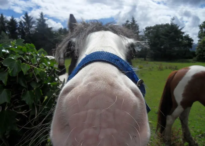 Apartamento Ethan House